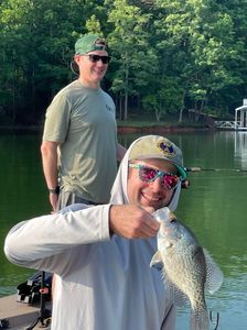 Crappie in Lake Lanier Fishing 2022